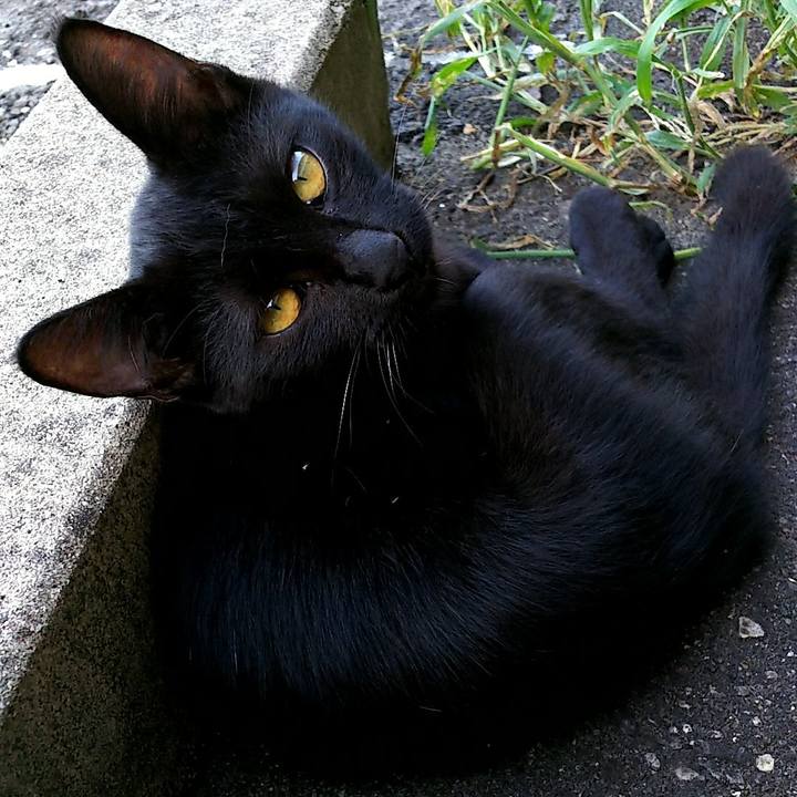 2e8dde00 ec65 47e0 a1ca 4df2e5733680 1535534043063