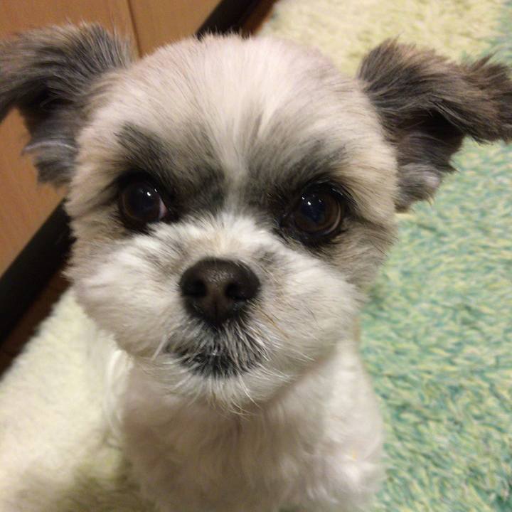 2e8e349a ec2d 4733 b74b 25cb89e4b046 1519901129018