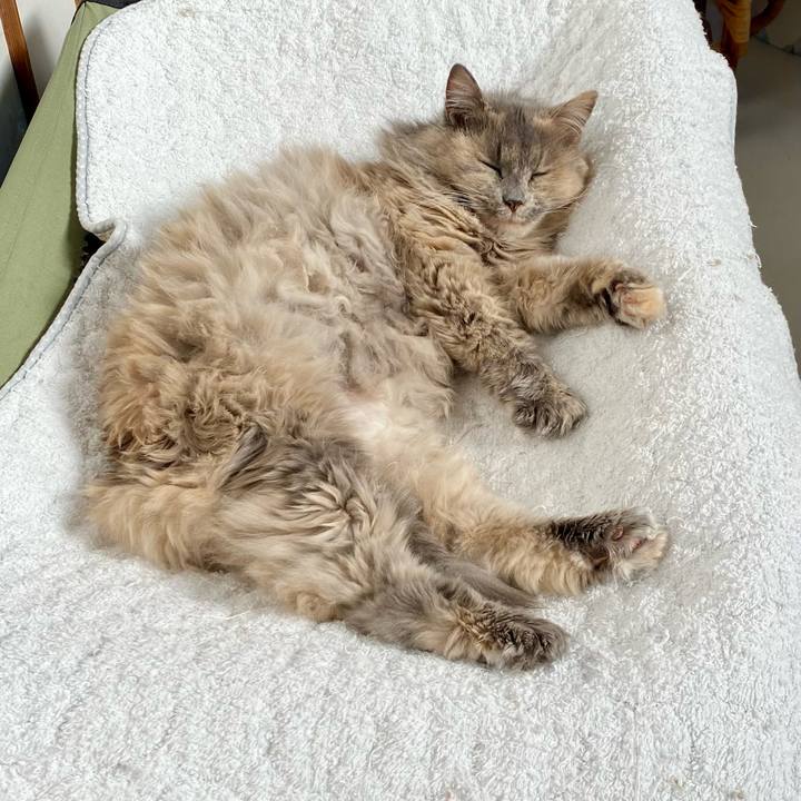 2e8e9cbb 1cba 4179 b25b c587e8d923b8 1765082467215