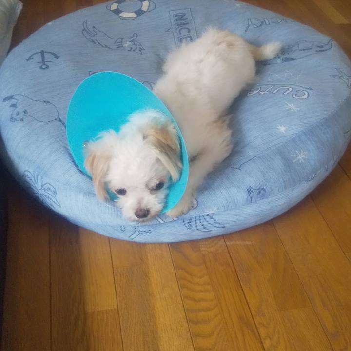 2e8eb1c6 602e 4662 86f0 f479b58647a9 1690771916075