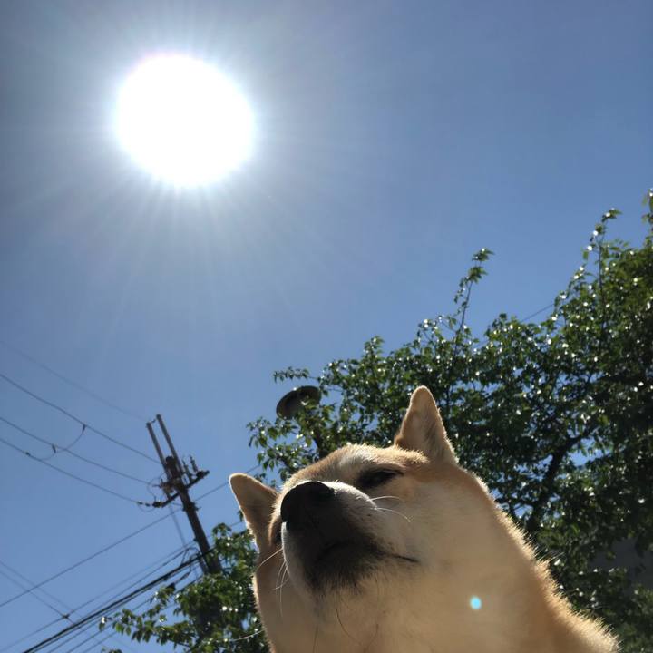 2e8ed2ec b157 4b37 9b76 cfe16664dfce 1557292624512