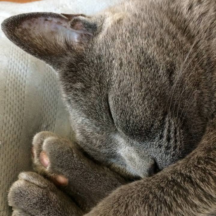 2e8f2d0b 937d 4946 9edb 0f0bd8c84901 1528843056413