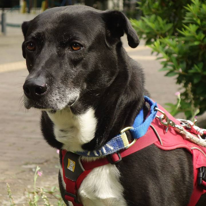 2e8f3941 e8ca 4b47 b999 504c00b897f3 1686013389826