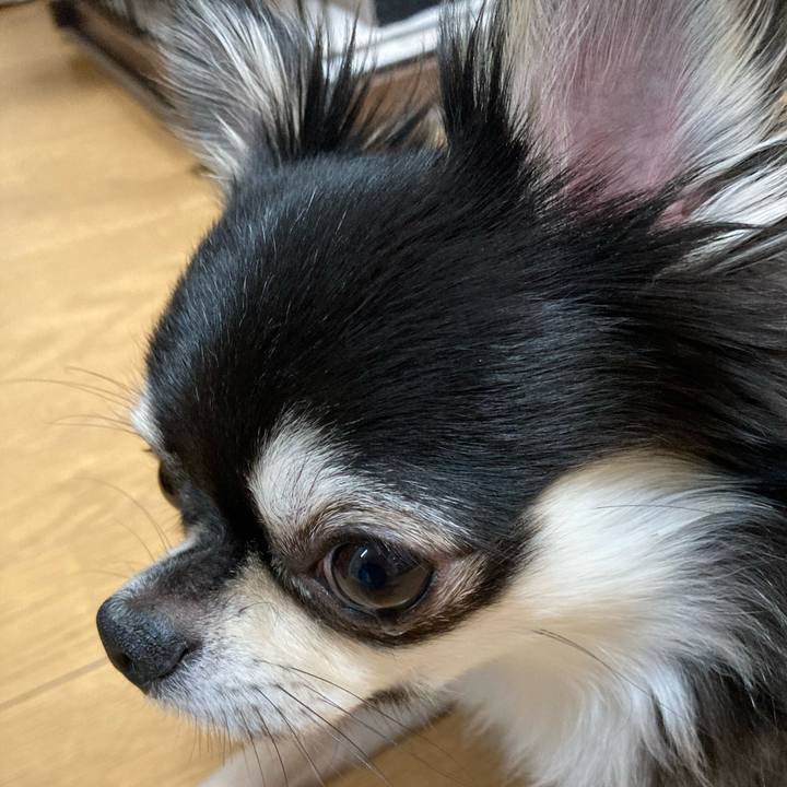 2e8f5ec2 3e0d 4700 9883 548781b00db7 1621691307143