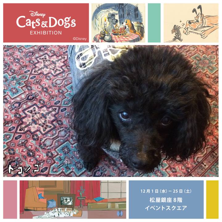 2e8f9cd4 0a21 4bea 8001 87b9c122e5cf 1638344872077