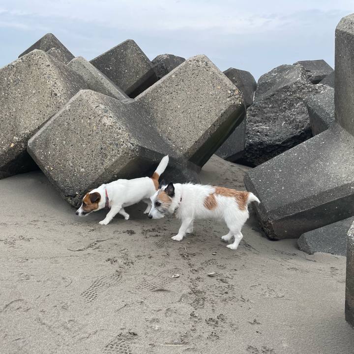 2e8fc723 479e 4143 b7d6 007ec9783757 1745796047646