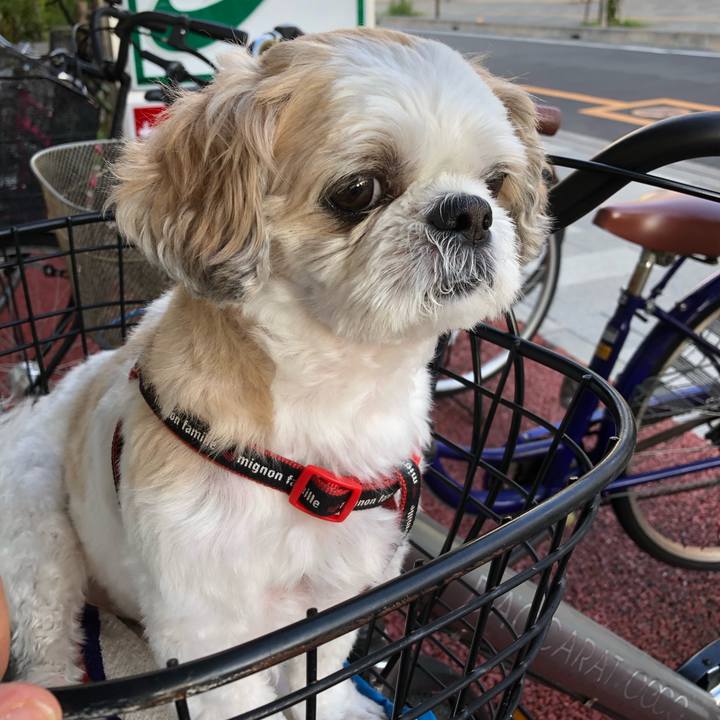 2e900456 d1e4 4427 99ea 3e9351da8c93 1569188638005