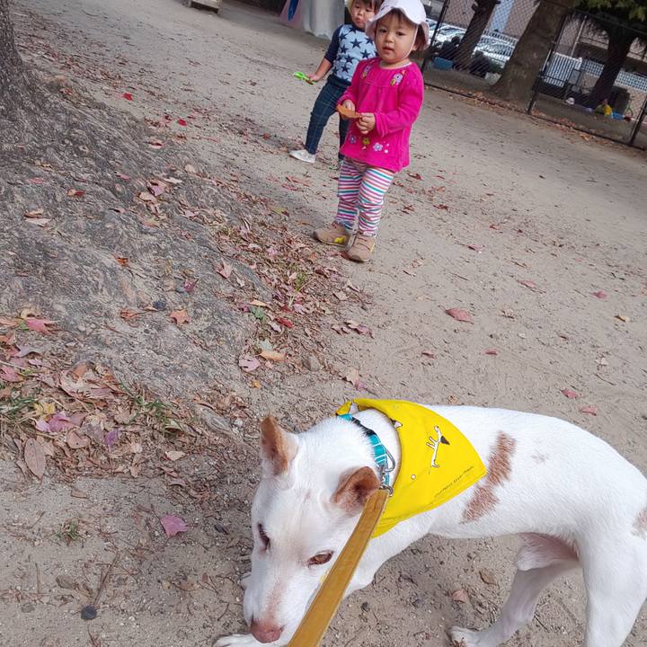 2e902ace 0e05 4e5c 8c4f 837bae047c21 1540950905002