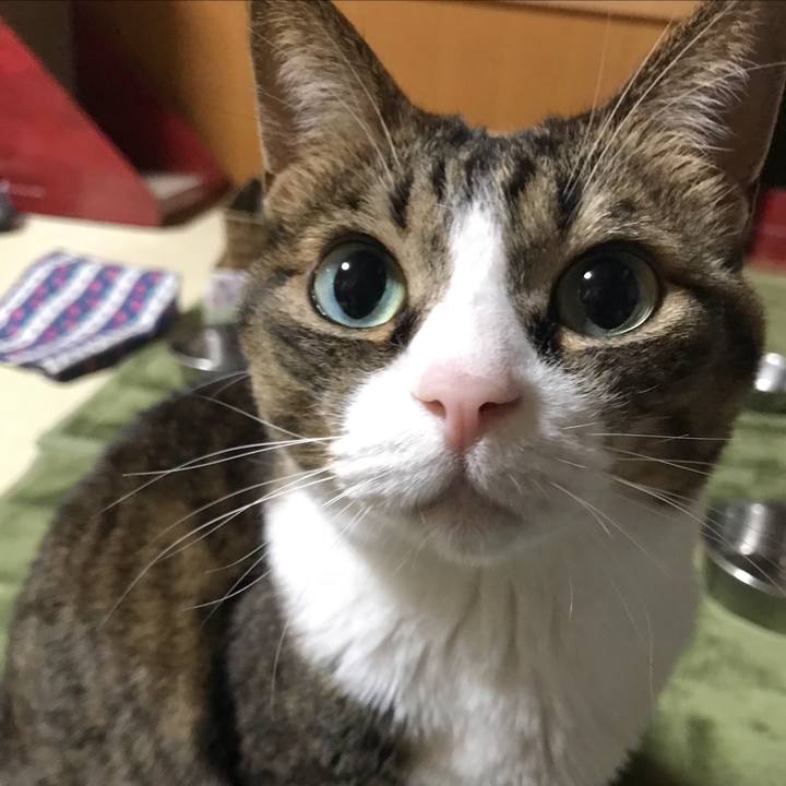 2e90468c e3bf 4910 bb68 309f91bfe27c 1521186979672