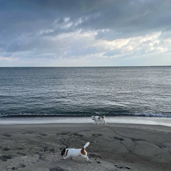 2e9070c2 ab90 463a 9199 0e3908822750 1758068000712