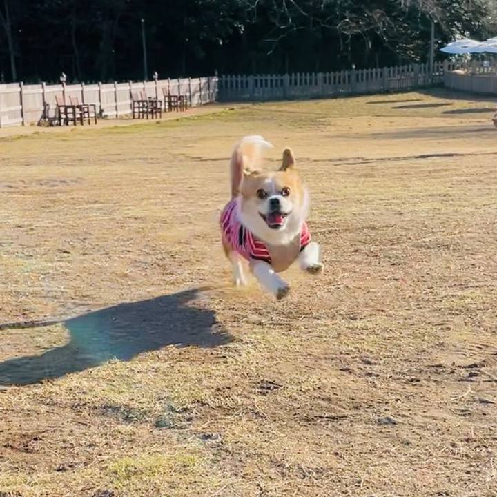 2e907e16 3148 4f89 aa1a 7f29ba845c81 1638704947791