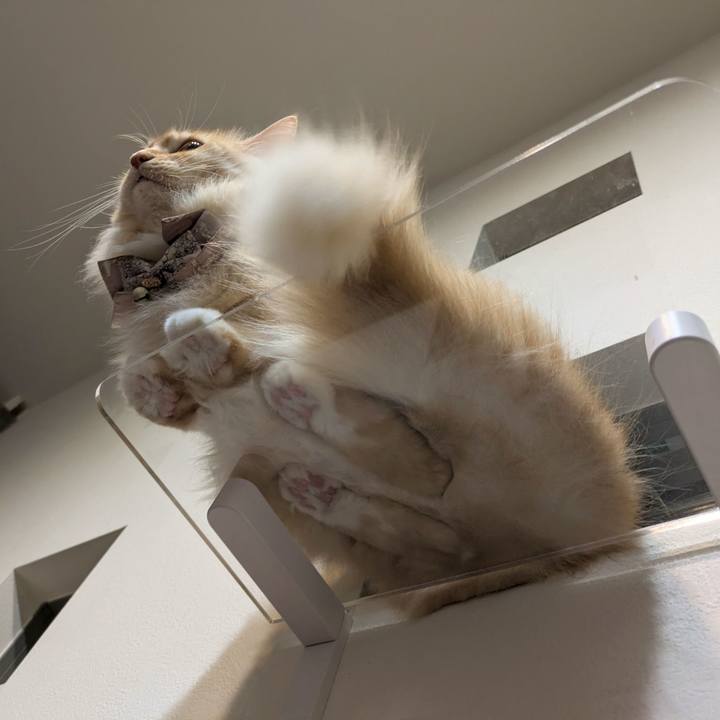 2e90af88 ef66 42ab 97e4 755122790264 1727699986539