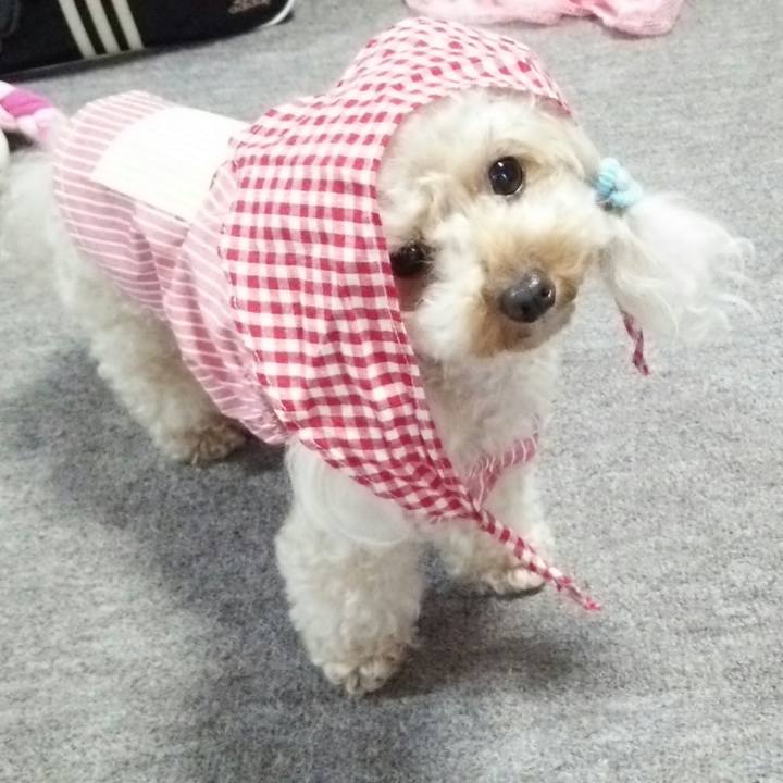 2e90cb21 6c73 4837 9d81 9b9a93ef993b 1535618521314