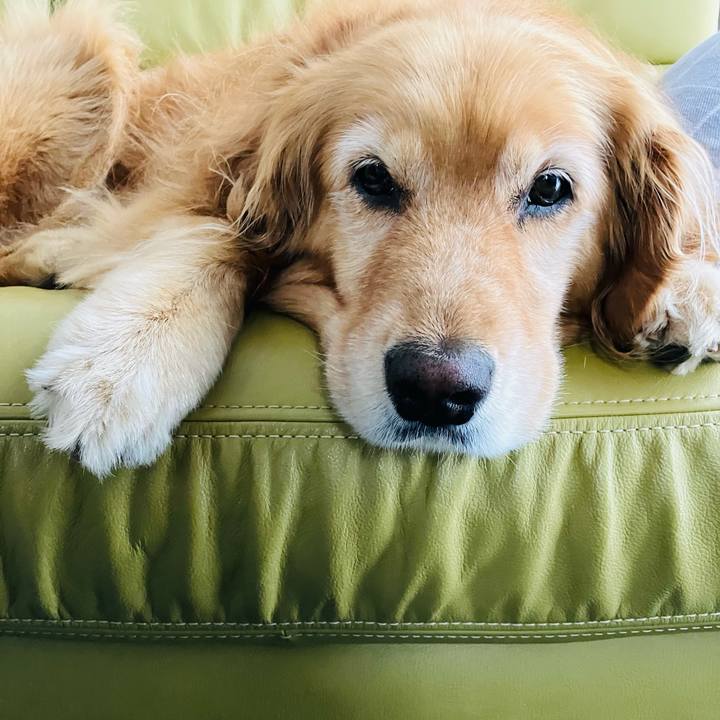 2e90d180 fc80 4c1a bc60 b4820a454c1b 1720499291545