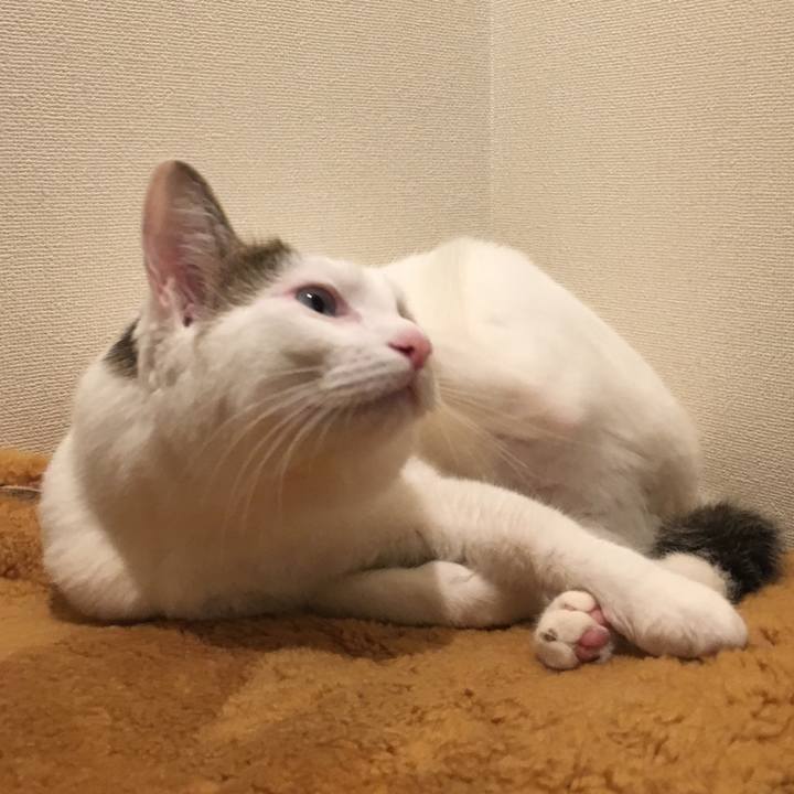 2e90f926 3d81 481c bff0 c58fd4f17a40 1522127179999