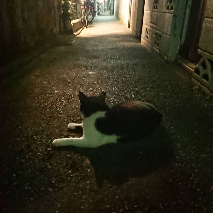 2e9109ec 59a8 4807 b1bb ab9eb5d0f35c 1535626109643