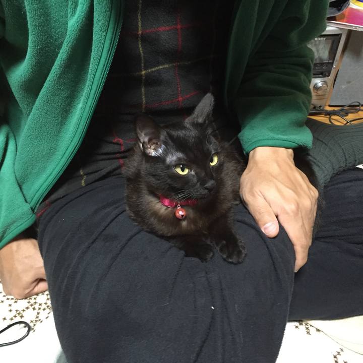 2e91220c 8328 4844 8203 3eb664d92041 1619349268987