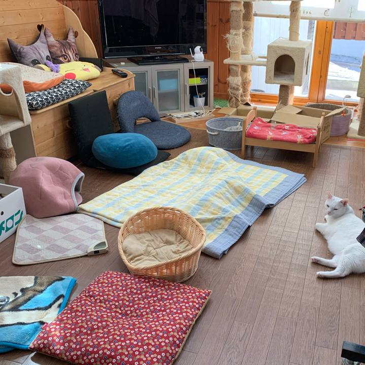 2e91249d 2976 477a 9b32 79147716c8ac 1600678730881