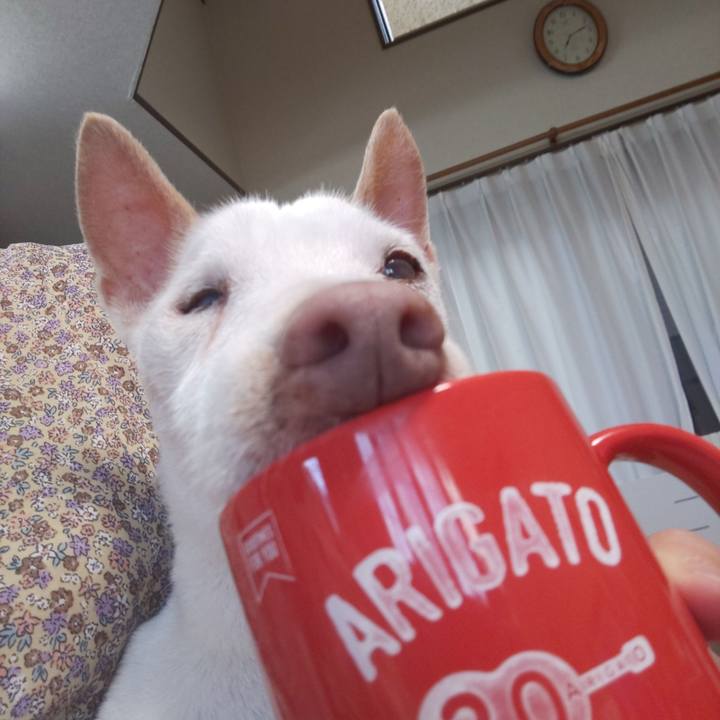 2e913684 d3b4 49ff 90d2 17d27926de85 1568672613835