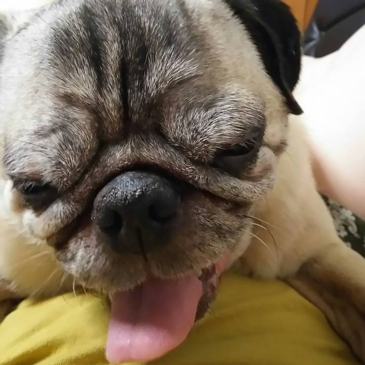 2e9163ab 9637 470a 8a4e ac7a5470da07 1530038560138