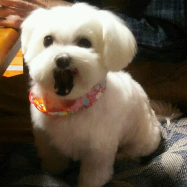 2e917cf9 3da9 48b8 b001 010a75fb3a0d 1546215915211