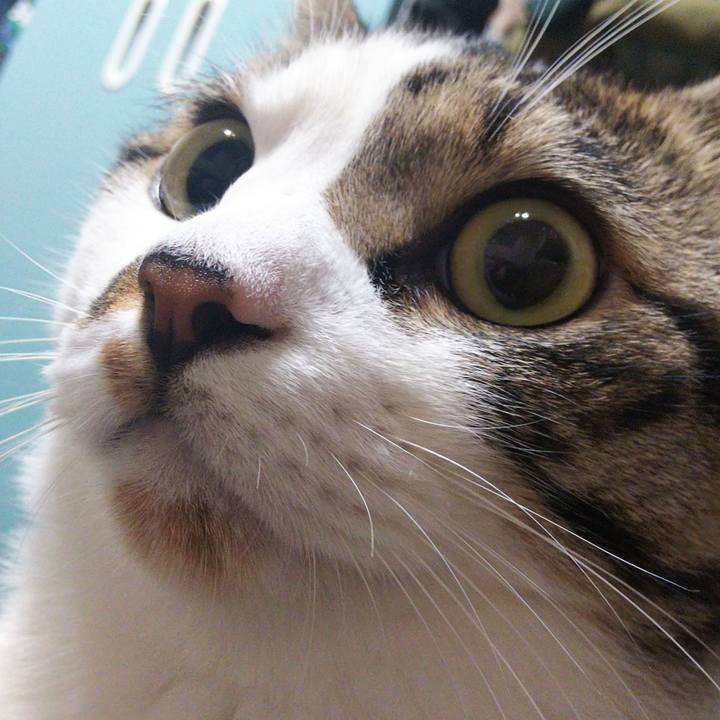 2e919498 3eb1 42b1 a081 6bb04bf01f6b 1661176674018