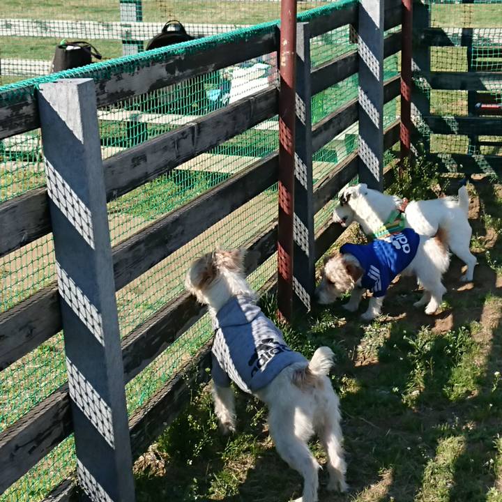 2e923bd9 a29f 44df a5c2 fa67bcc3cee2 1553431853324