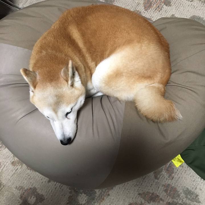 2e927a83 c5c1 4c0a 9f8d 48251732f99a 1513205612797