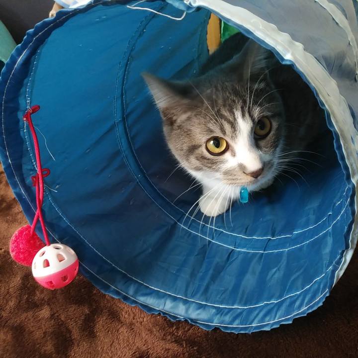 2e929ead f9d8 4617 92c3 852f23e24026 1575070684394