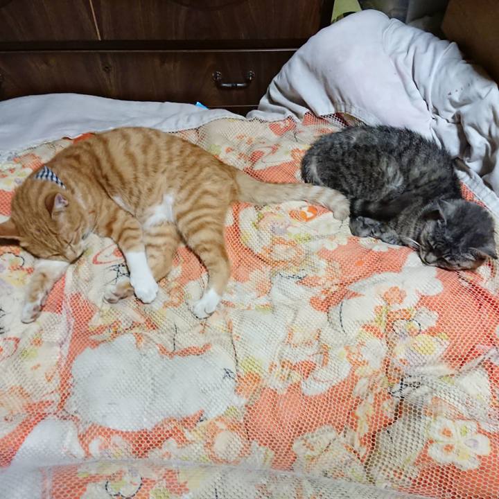 2e92aa4c fad8 4068 a19d 296f2aca091e 1569934548078