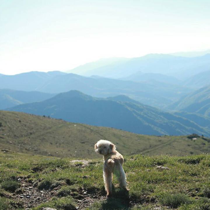 2e92c858 ff02 41d0 86f2 9d35a78eda81 1560183645612