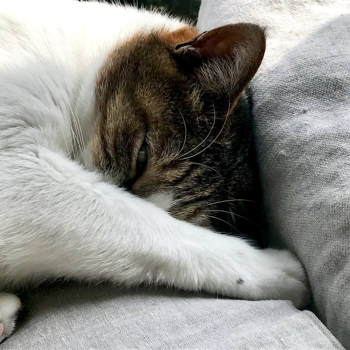 2e92d34e 5915 4587 84bd 68e73f751038 1554263861926