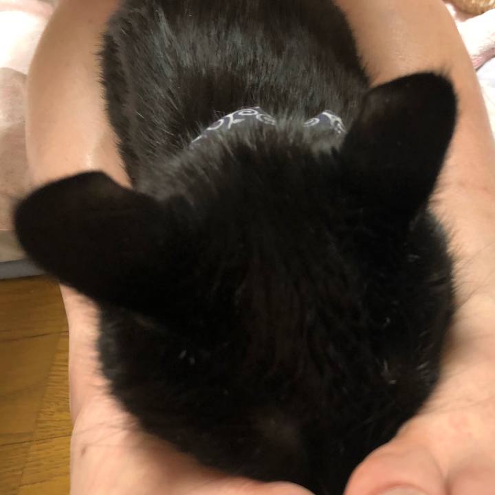 2e92d64b 888b 48c8 b0d9 8eb993bf86b3 1580219098566