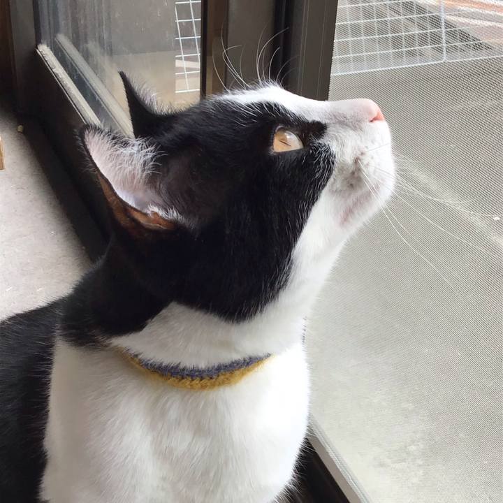 2e92efaa 5e35 48e2 ae82 47f503ff3646 1650077242425