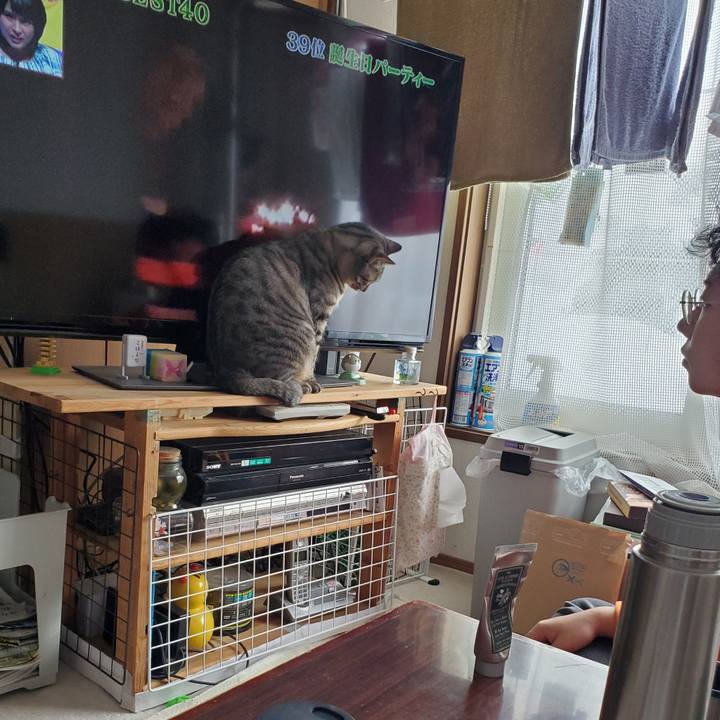 2e93283f 4679 4be7 9373 87dc09435c54 1705298226018