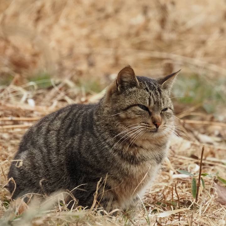 2e93520d 3f55 443a ac13 94e58b7b61bf 1611545495255