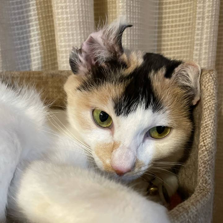 2e935ae1 0eb7 4116 9983 65395778115b 1707650313788