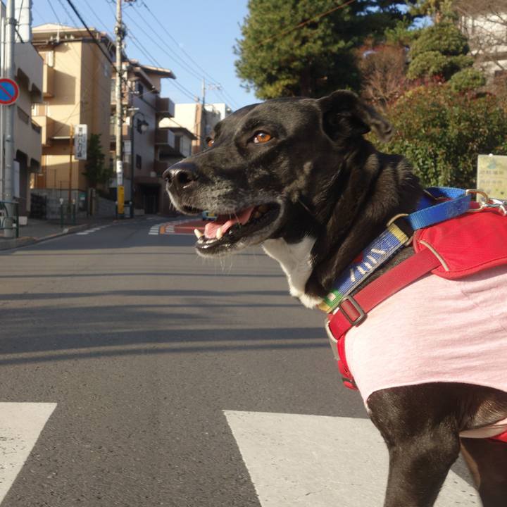 2e93662b 5ee5 474a a70a e19ac6b2ff79 1676164967705