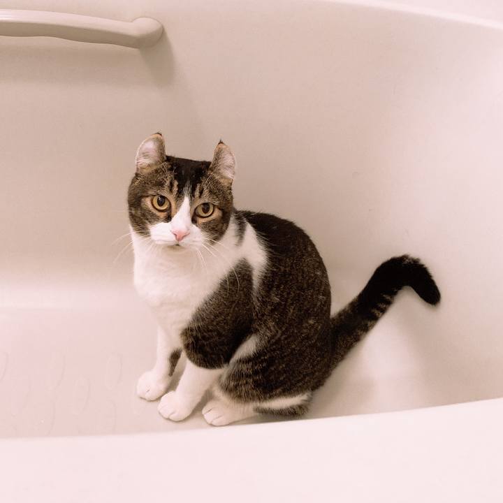 2e937dbc 7b3d 4dbf 8086 faaf09e6d157 1572691917221