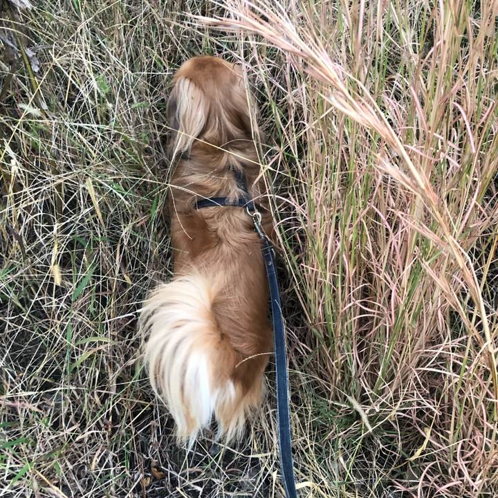 2e938161 248f 4495 9fec f938a0b3a84c 1541023730283