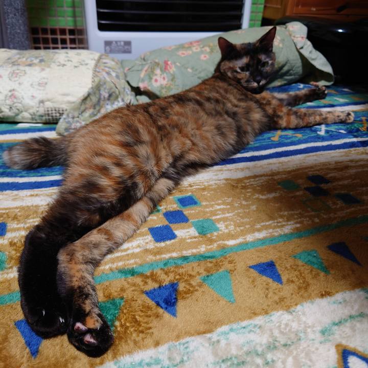 2e9381f2 55e7 4d80 8d95 97718be053b4 1699698082447