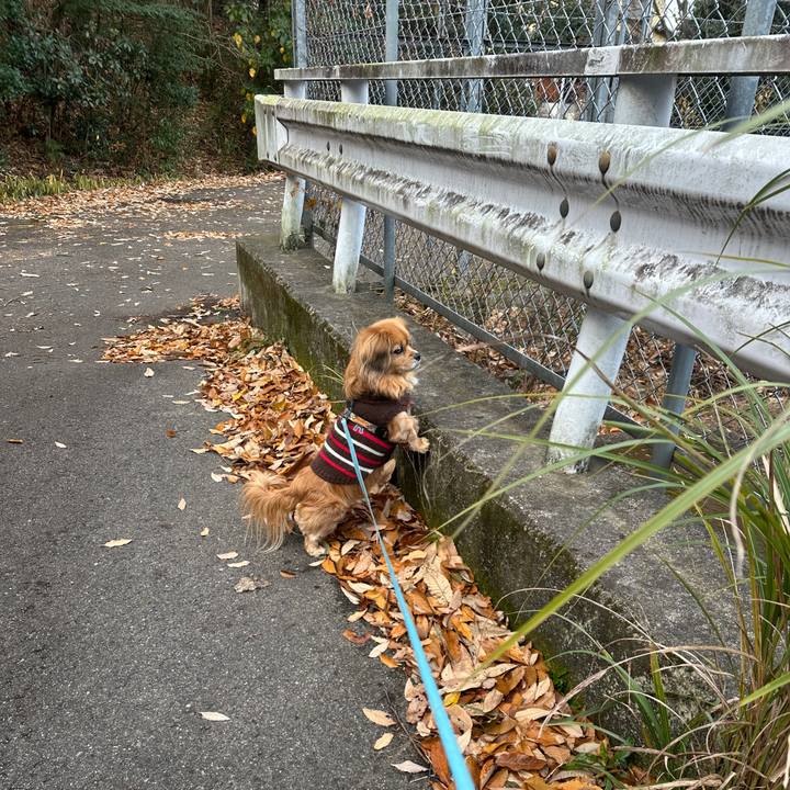 2e938c78 cfa7 462d a07f 6e944c38cbd8 1735524380896