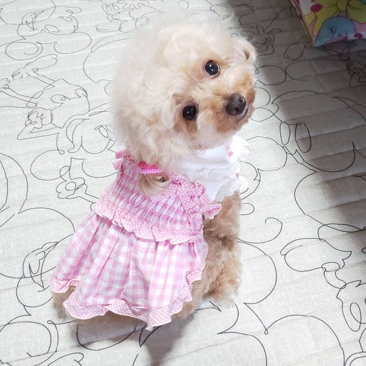 2e93ec94 5cfd 49fa b03a 841e5563c1c0 1566892627991