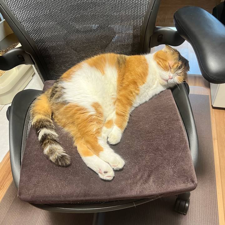 2e940517 2483 4da8 b626 b47d6e60e54a 1689843079797