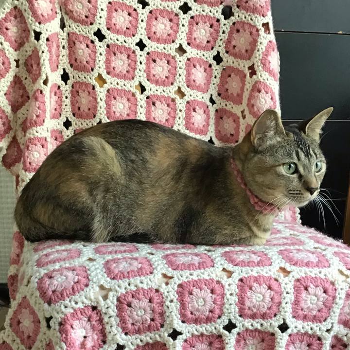 2e94058c b37c 433d a66c 9abc34741f67 1592630377077