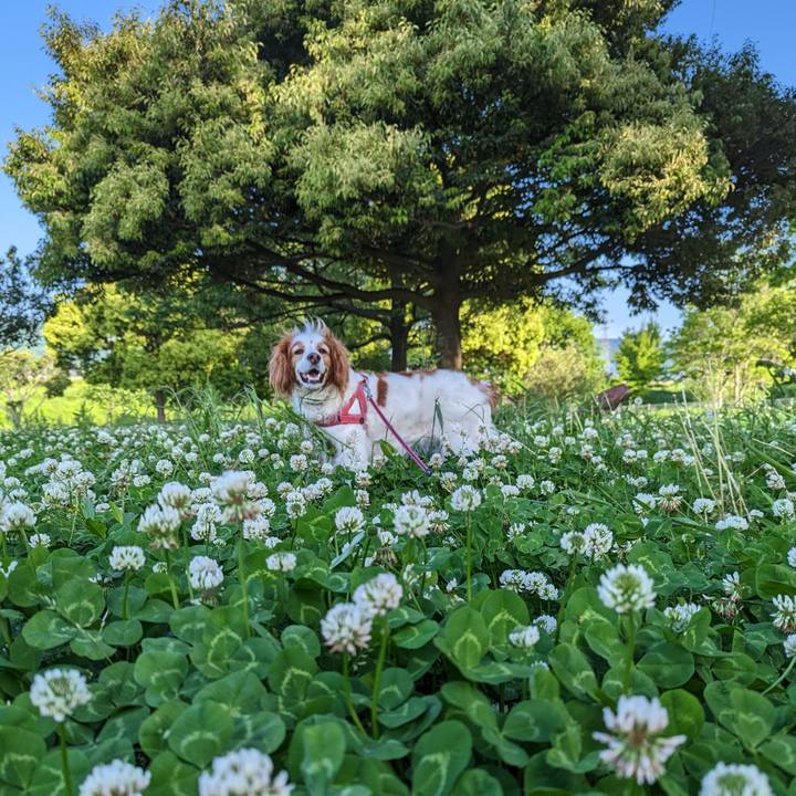 2e94162e 4e99 420f 8919 53dd31aabf02 1684235996441