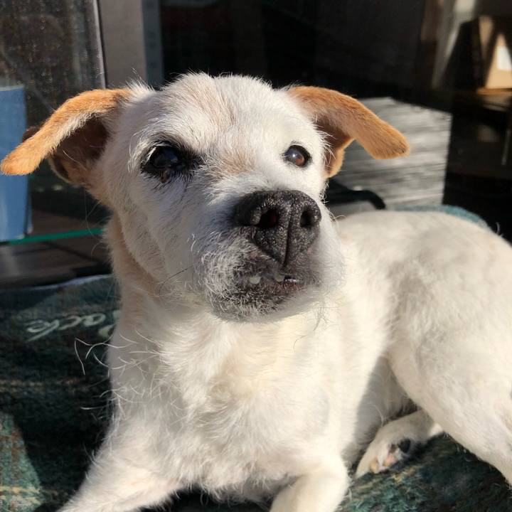 2e942838 cc03 4566 9298 bfc6d9f65b47 1639009349408