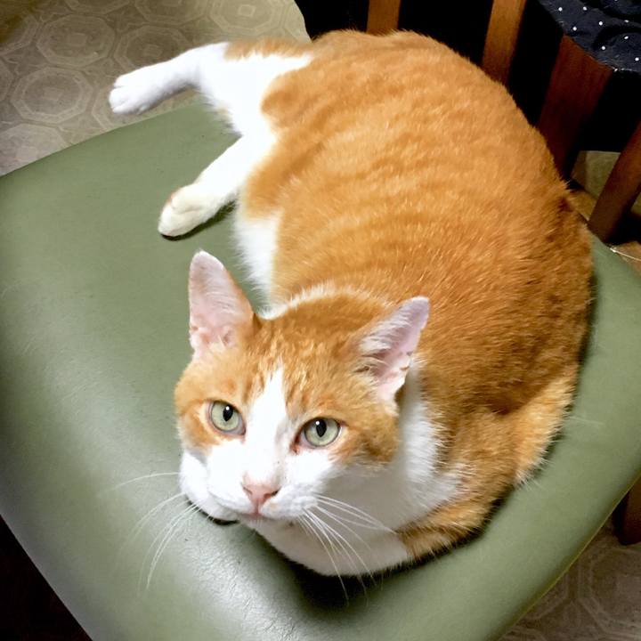 2e9466fa 83da 470e b364 c8ee0cd878c3 1565063755417