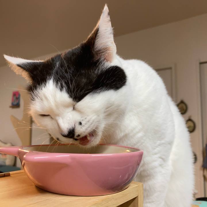 2e9478e1 3b92 4049 84a8 f5b7bbaf7282 1768857080097