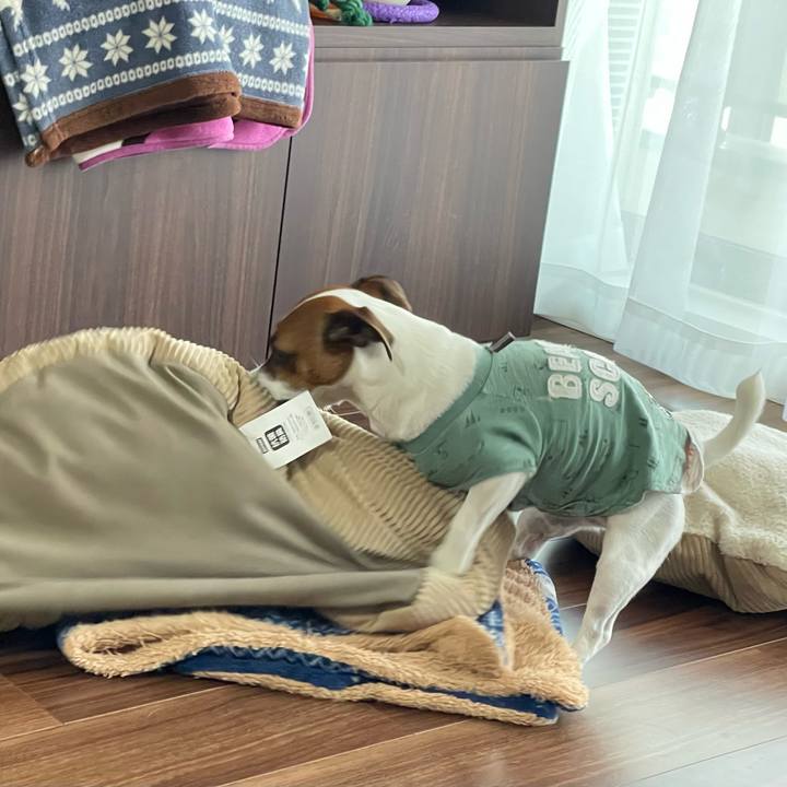 2e9483ca 8dcc 460e a8b7 f56a55e81289 1654848276719